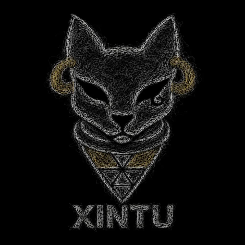 The Xintu cat mark drawn in thread